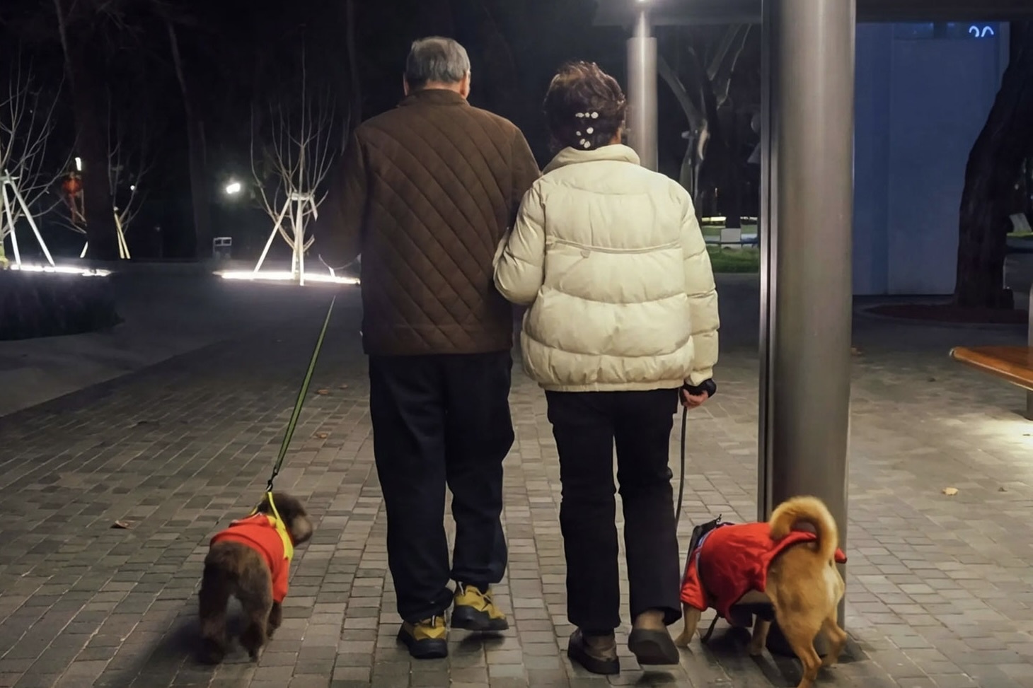 The he 'khong sinh con' dau tien o Trung Quoc gio ra sao? hinh anh