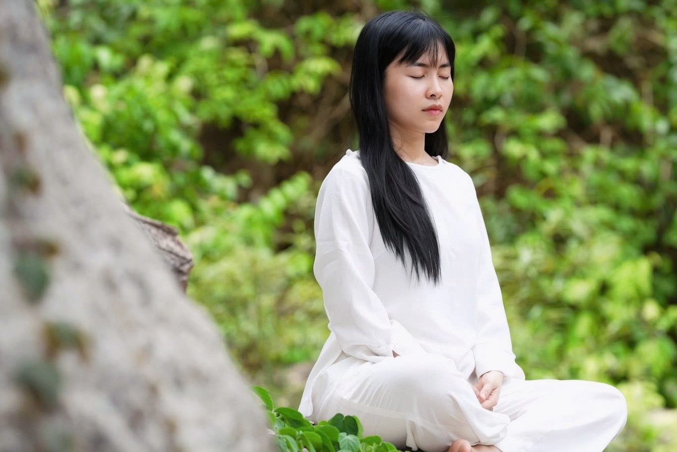 Cong ty chi tien ty dua nhan vien di thien o Yen Tu hinh anh