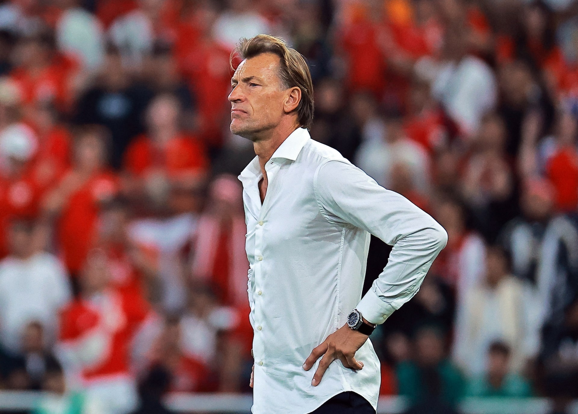 so mi,  HLV Herve Renard,  HLV,  ao so mi trang,  Tunisia,  Herve Renard anh 1