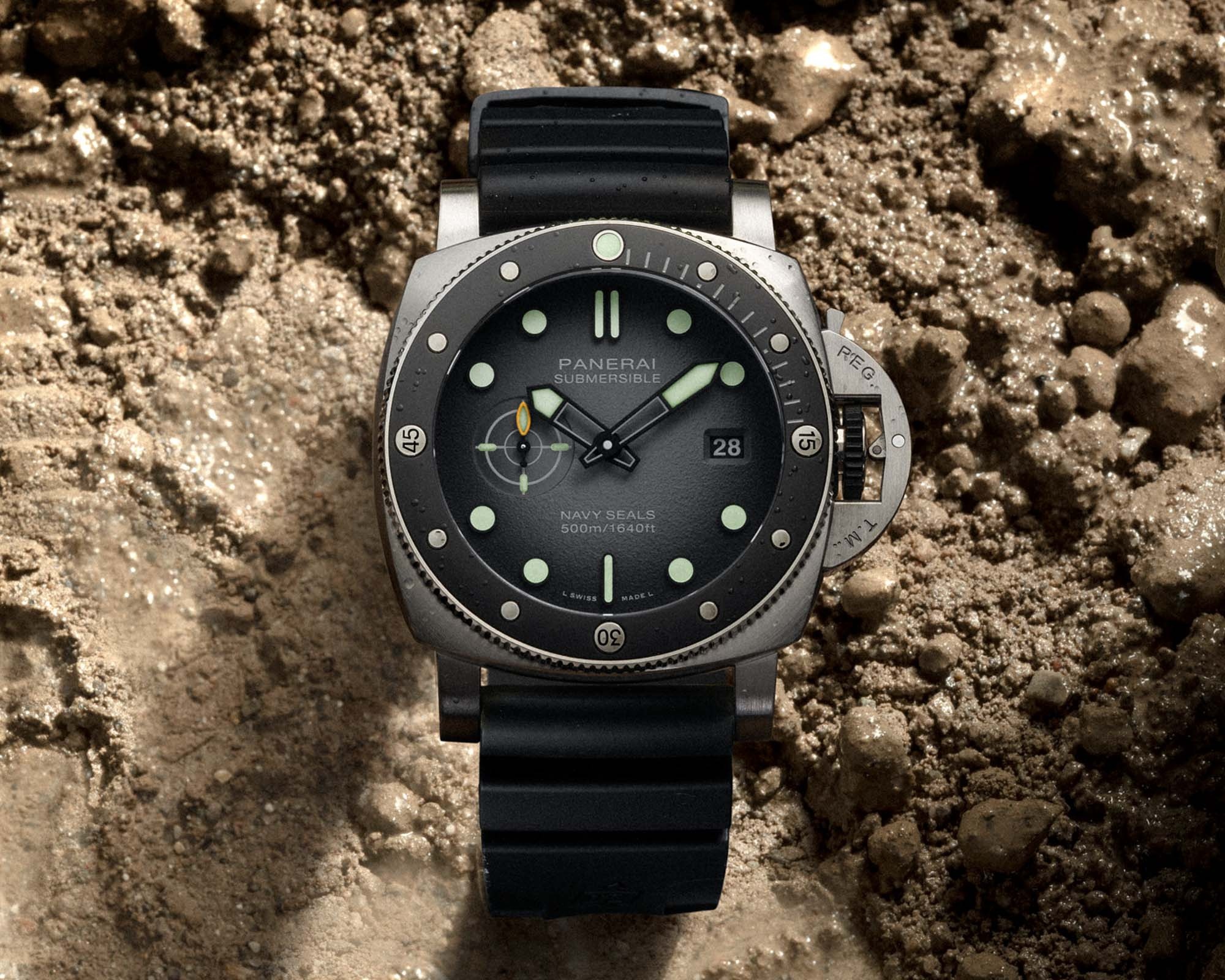 dong ho,  Panerai,  dong ho cao cap,  Vacheron Constantin anh 2