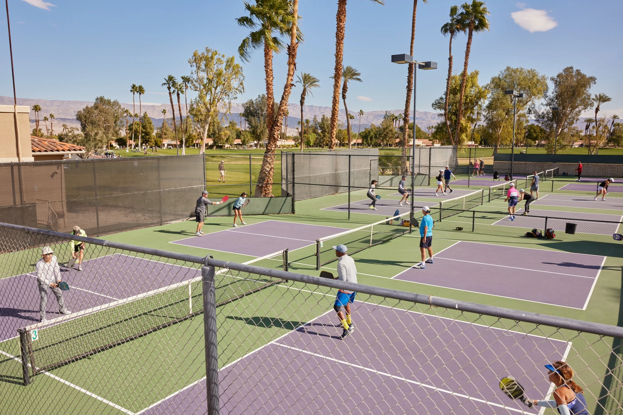 pickleball,  lương,  IAPPF,   ảnh 1
