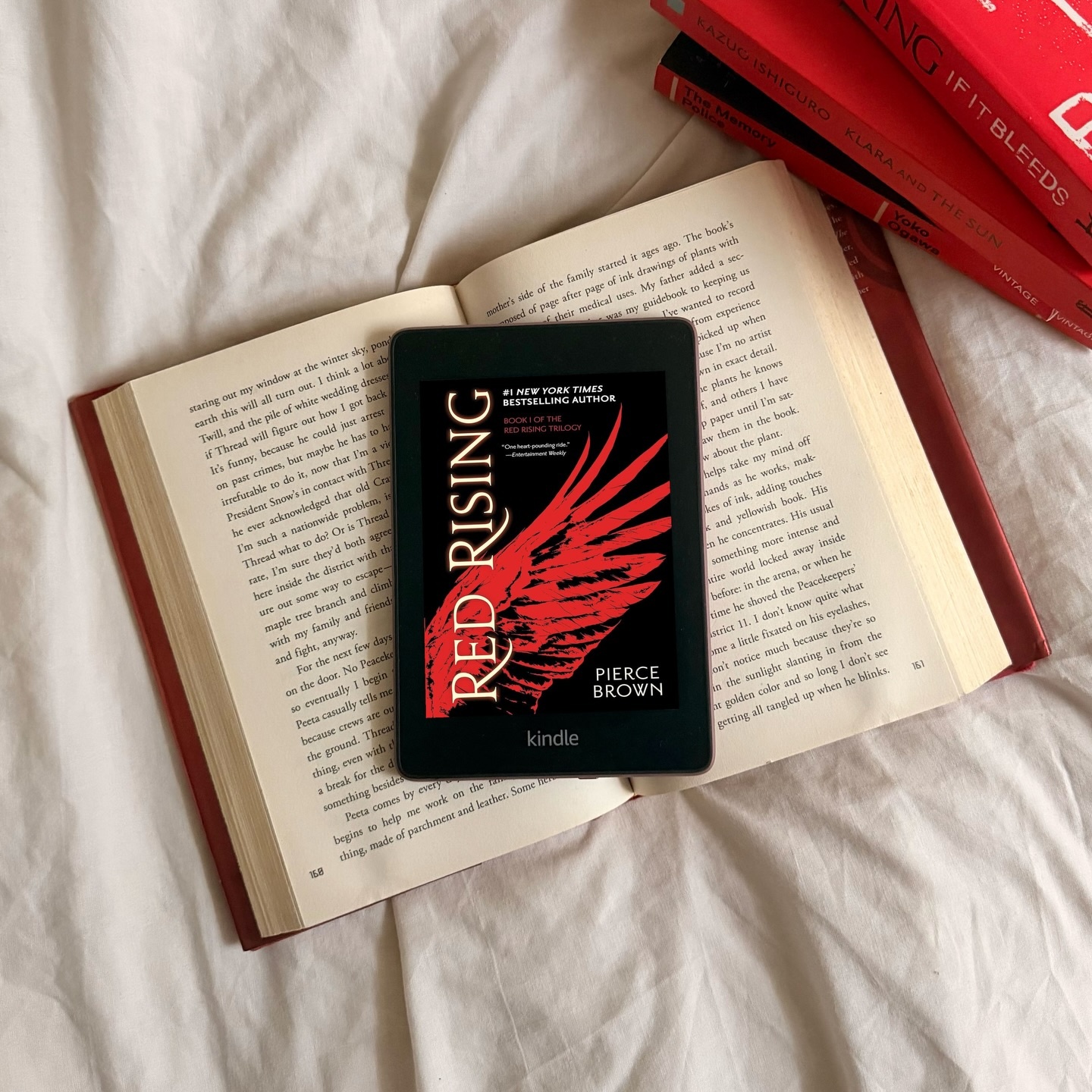 tay vợt,  đọc s&aacute;ch,  pickleball,  Ben Johns,  Harry Potter,  The Hunger Games,  Red Rising ảnh 3