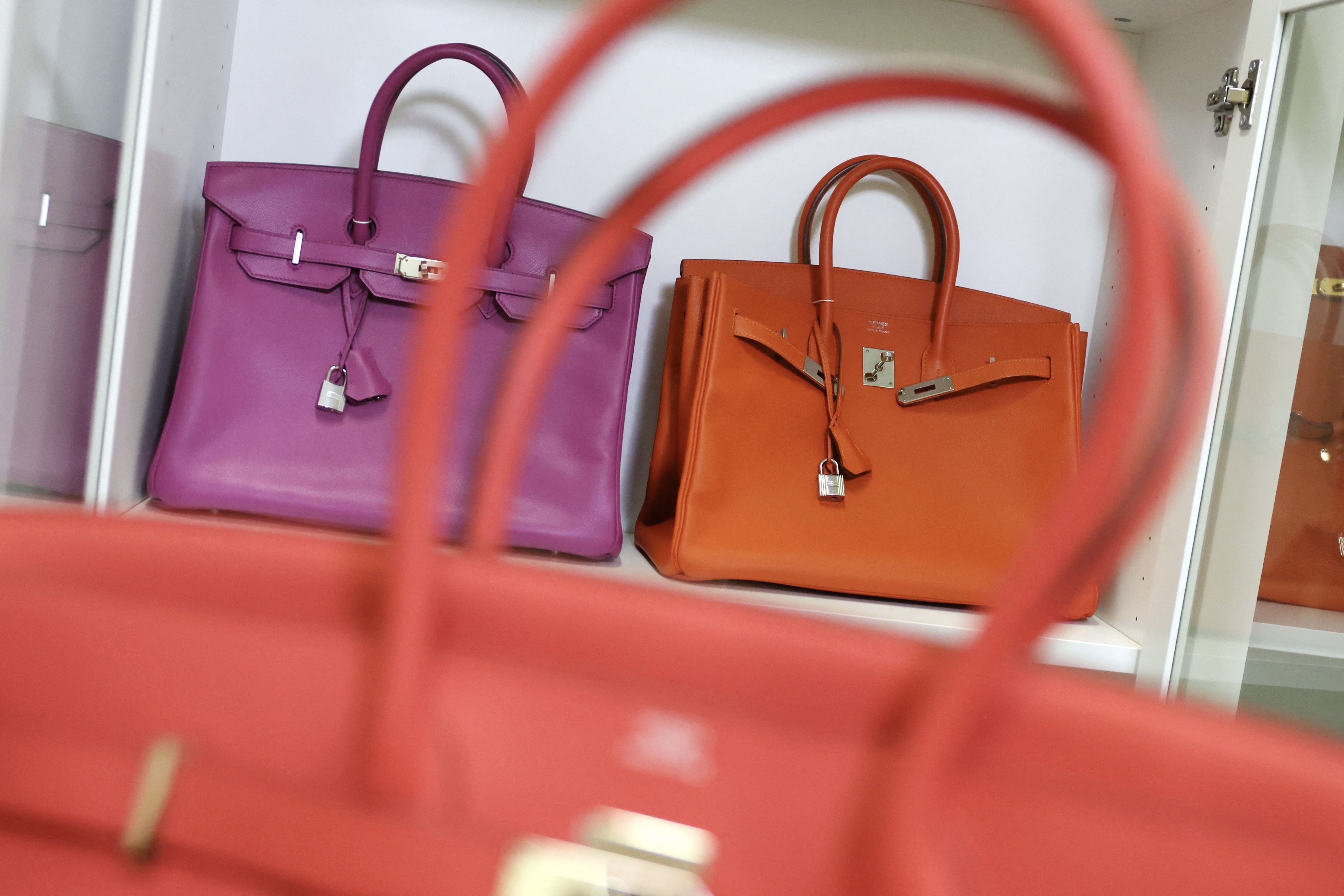Birkin,  t&uacute;i,   ảnh 2