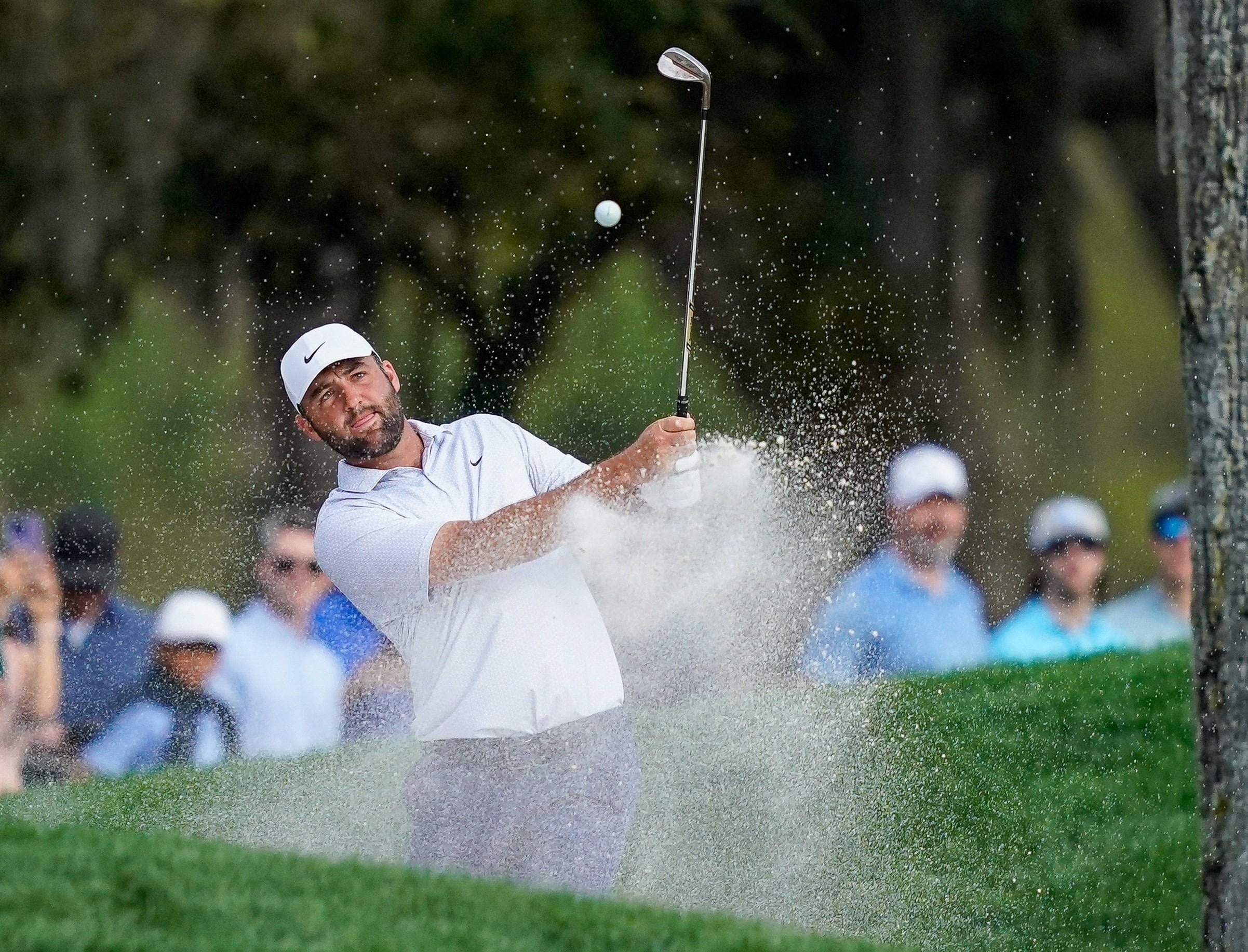 golfer,  s&aacute;ch ảnh 1