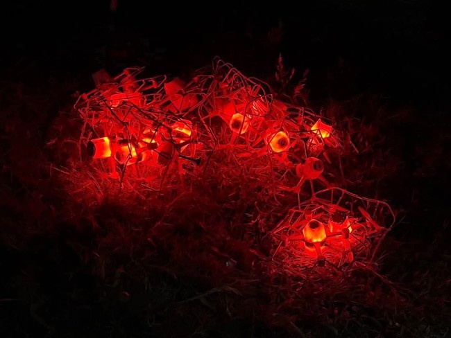 Dieu gi xay ra khi drone bieu dien mat song, that lac? hinh anh