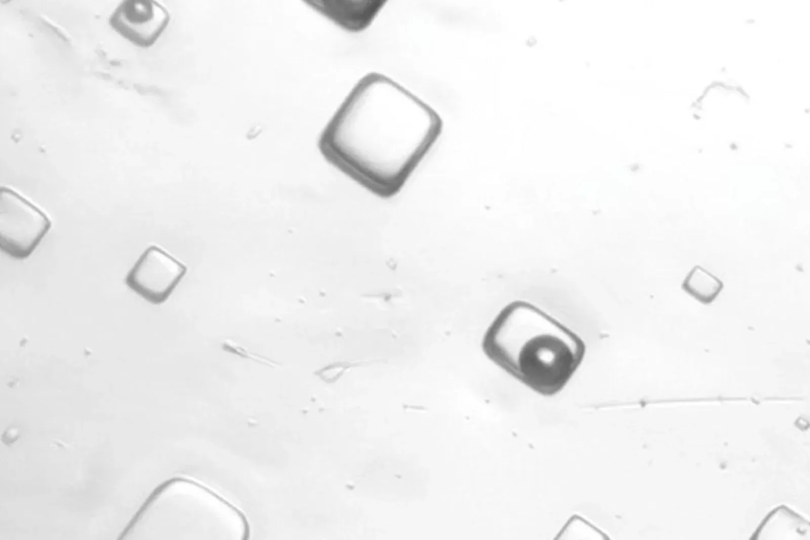 Khong khi 1,4 ty nam truoc co gi hinh anh