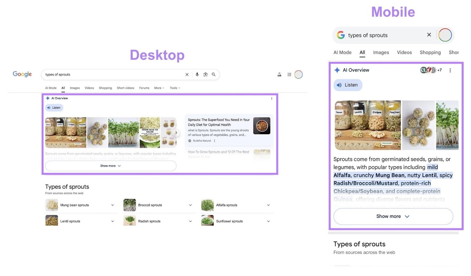 Google AI Overview anh 2
