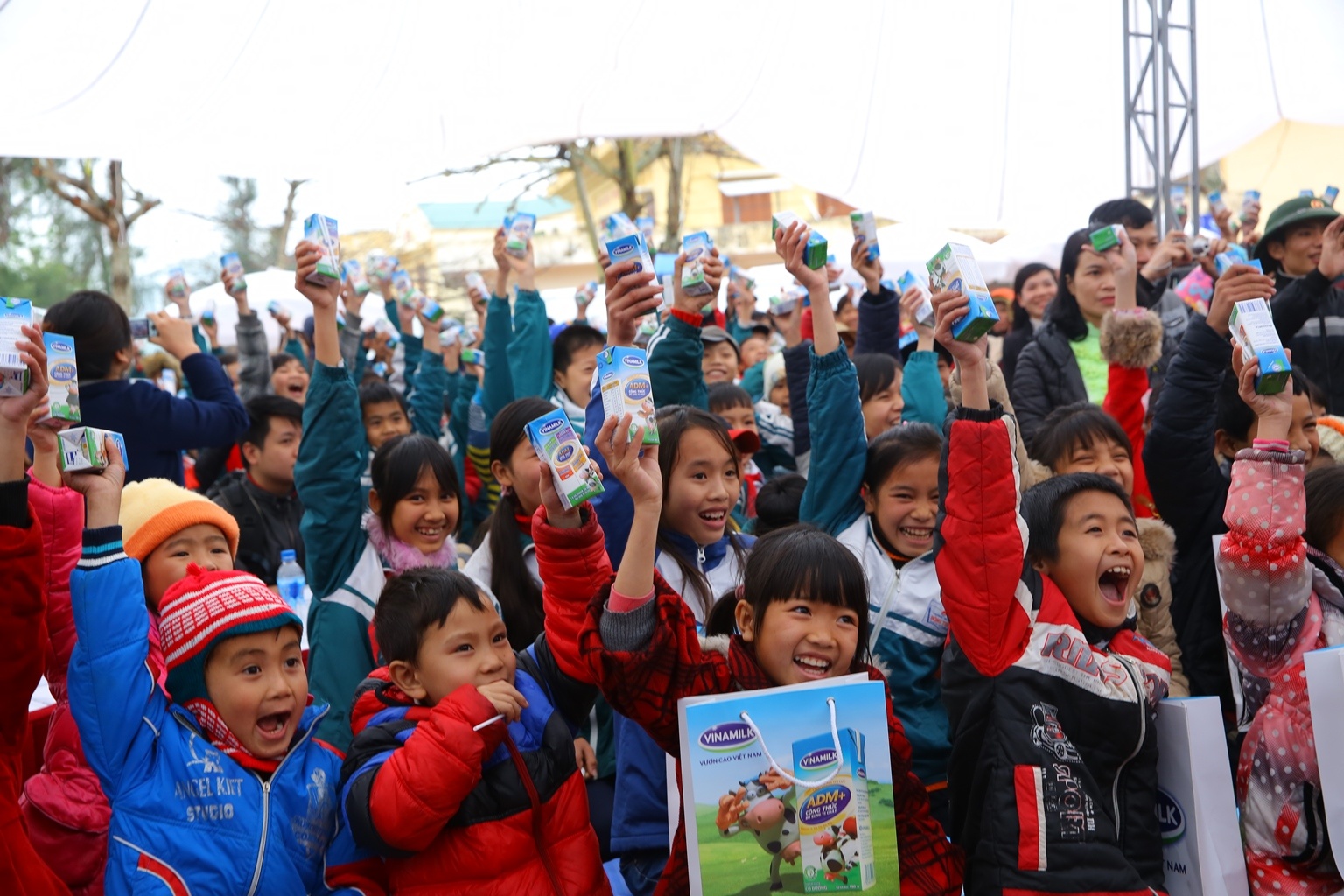 Tam huyet vi mot Viet Nam luon vuon cao hinh anh