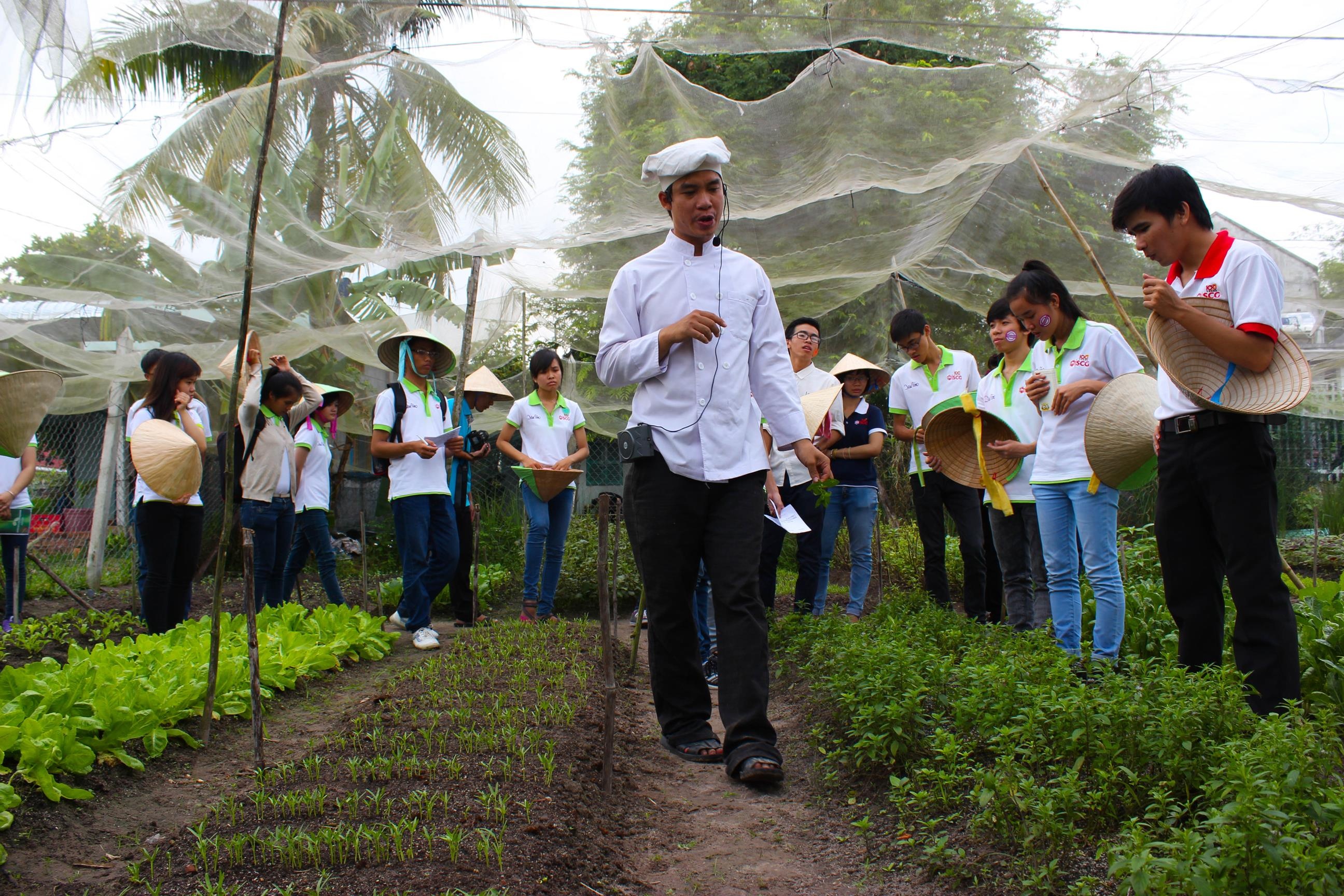 Các đại sứ được hướng dẫn tham quan vườn rau tại huyện Củ Chi.