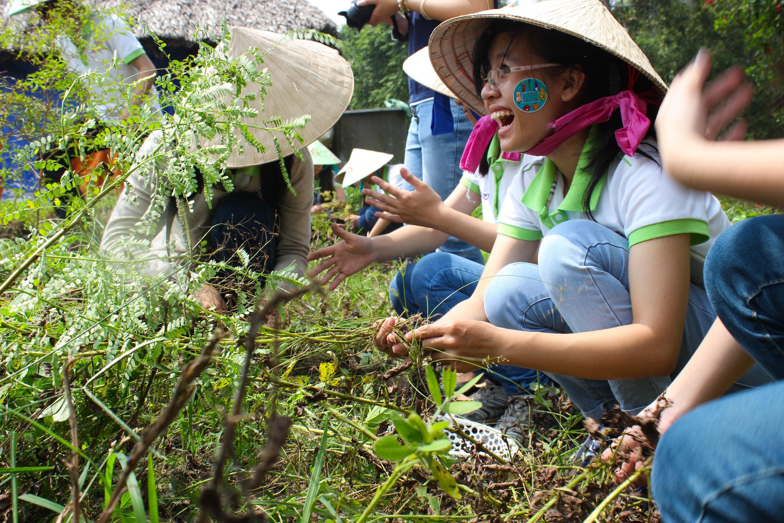 Thích thú khi biết được các loại rau quen thuộc còn là các bài thuốc hay.
