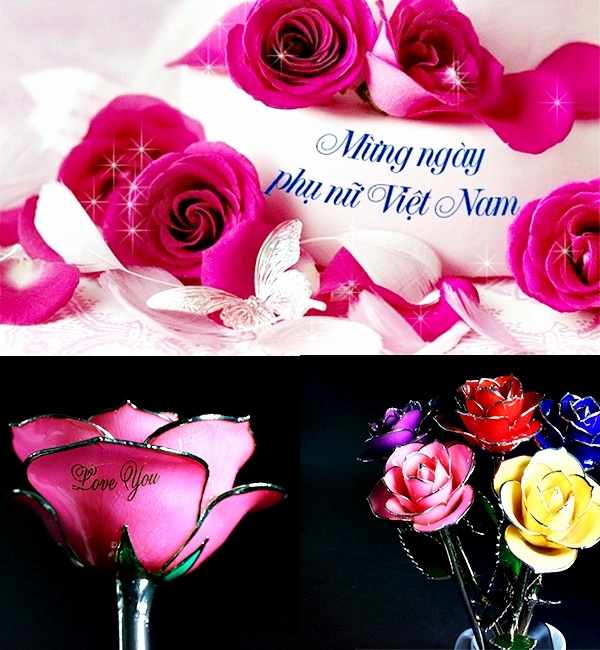 Có 5 màu hoa và 5 thông điệp khác nhau, có thể dành tặng mẹ hoặc người yêu đều rất hợp lý.