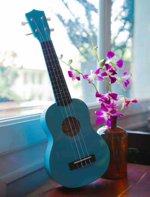 Cây đàn Ukulele được nhiều người yêu thích nhất.