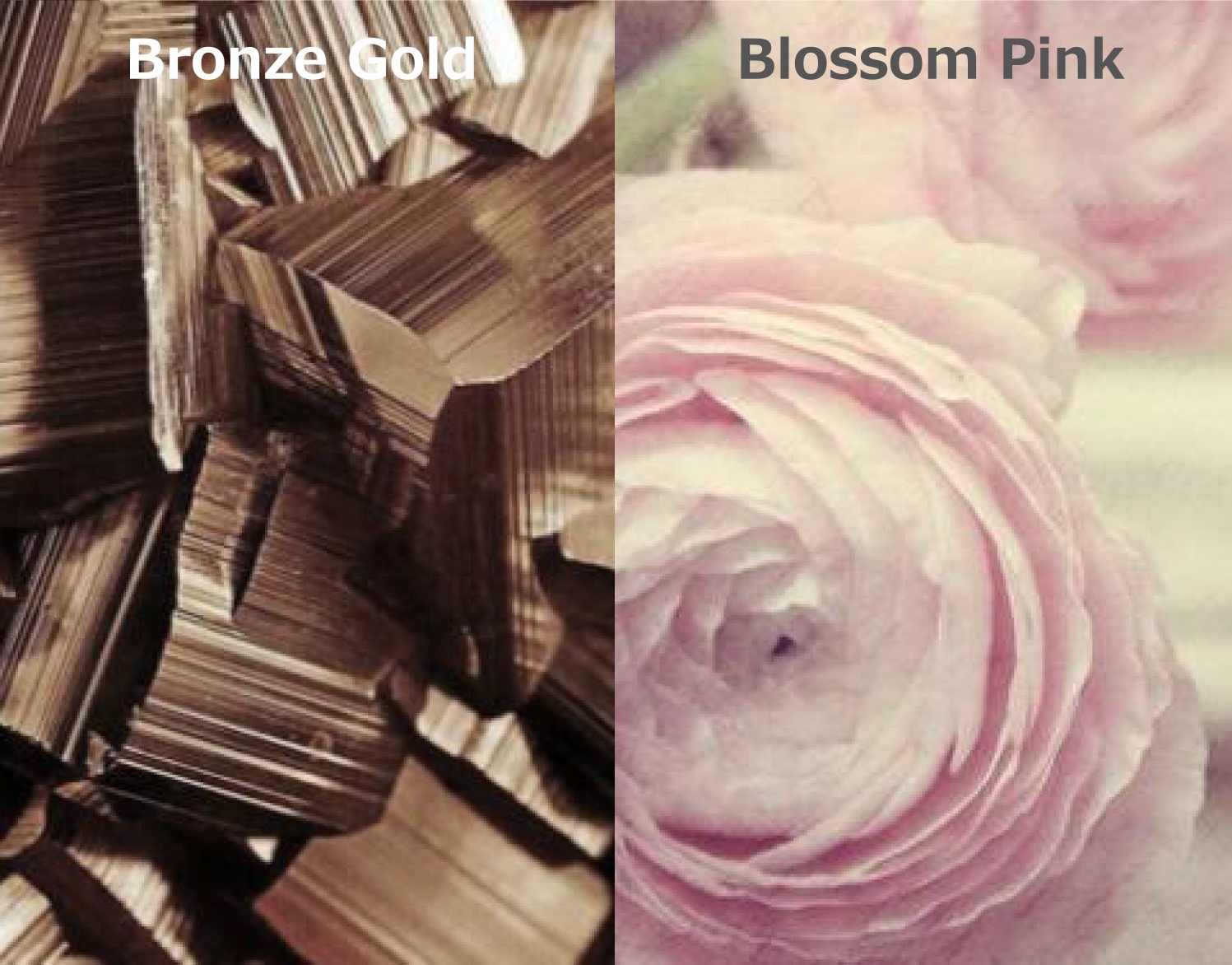 Ánh vàng đồng kim loại là những trải nghiệm mạnh mẽ, nam tính. Trong khi đó, màu hồng lại được truyền cảm hứng từ sự dịu dàng và ngọt ngào của hoa hồng.