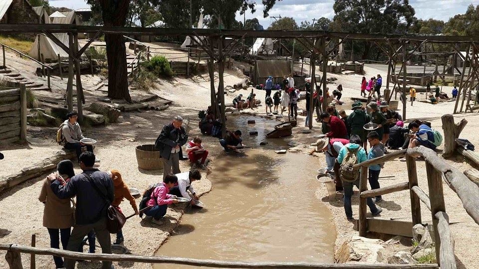 An tam du lich voi tour gia binh on hinh anh