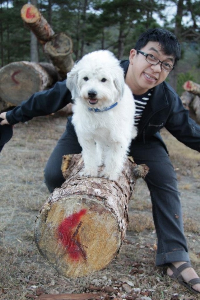 Nhà báo Trần Nguyên