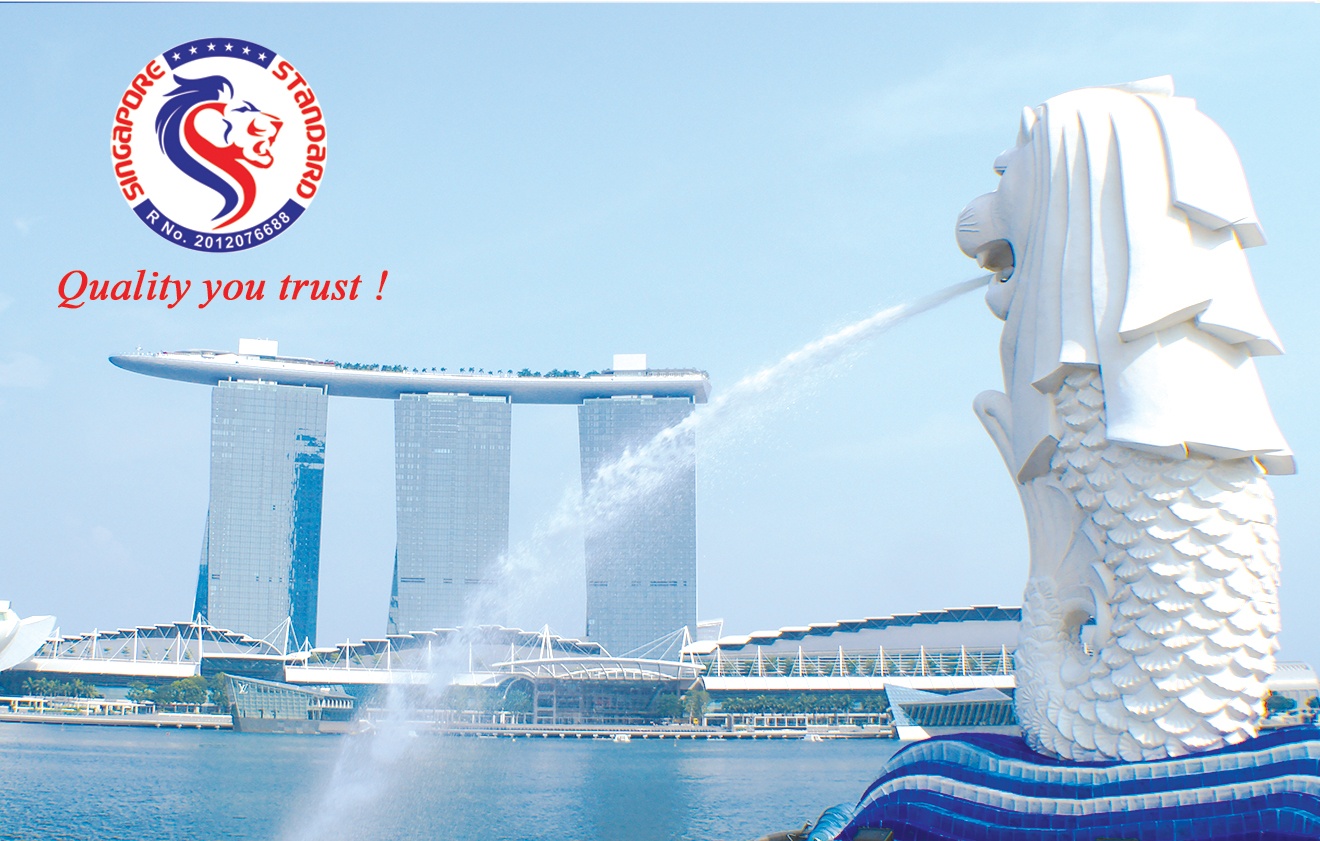 Dich vu 'tieu chuan Singapore' phat trien manh tai Viet Nam hinh anh