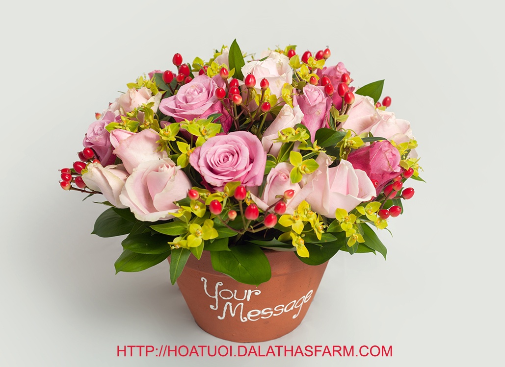 Dalat Hasfarm ra mat dich vu ban hang truc tuyen hinh anh