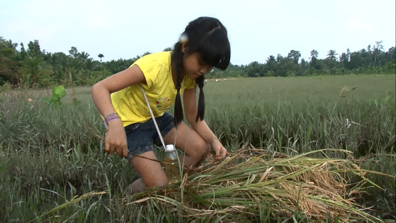 'Ma nhi' Lam Thanh My ve que lam nong dan hinh anh