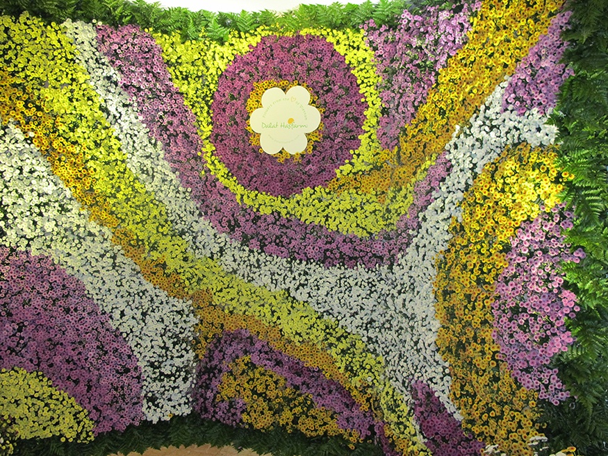 Trinh dien hoa nghe thuat quoc te tai Ha Noi hinh anh