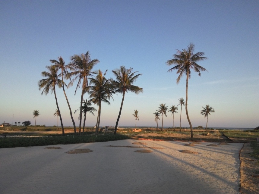 Làng quê Việt Nam khi bình minh lên được chụp bằng chế độ Auto - thiết lập tự động của ZenFone 5.