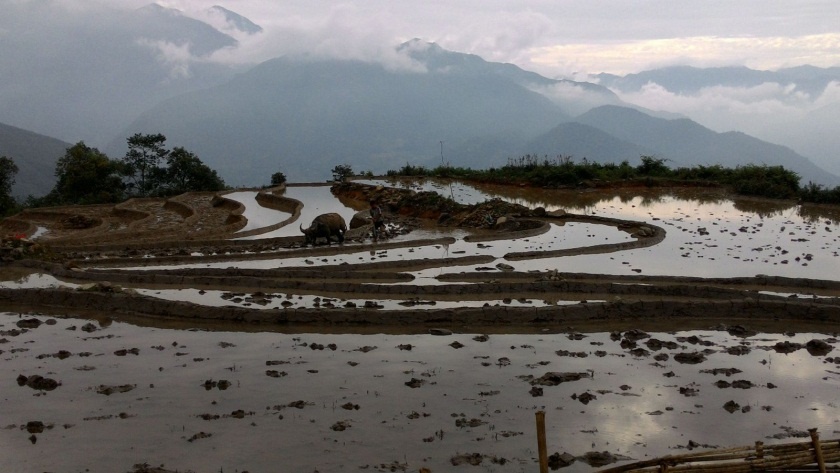 Cảnh sắc mọi vật lúc hoàng hôn hiện lên rõ nét.