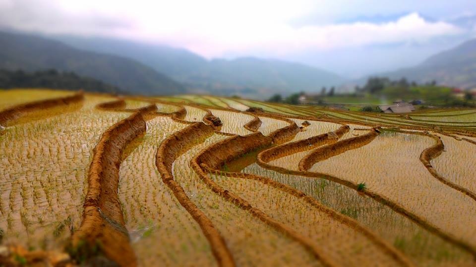 Canh dep Viet Nam qua goc chup cua ZenFone 5 hinh anh