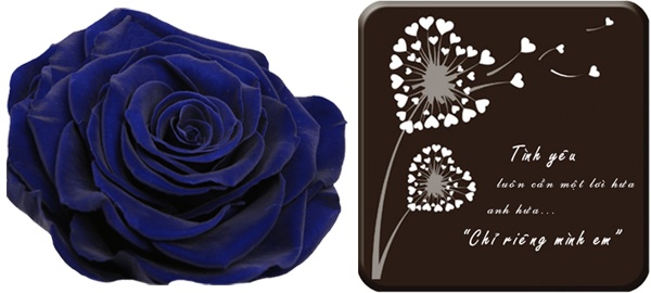 Hoa hồng bất tử và Chocolate chung thuỷ được sản xuất rất công phu.