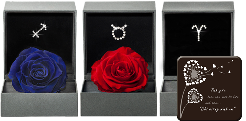 Qua tang nguoi yeu doc dao hut khach mua Giang sinh hinh anh