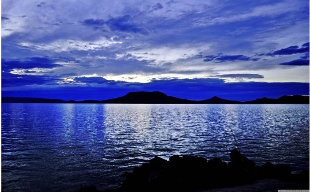 Xanh ánh tr8ang mang đến nguồn cảm hứng mới mẻ cho bảng màu Giáng sinh.