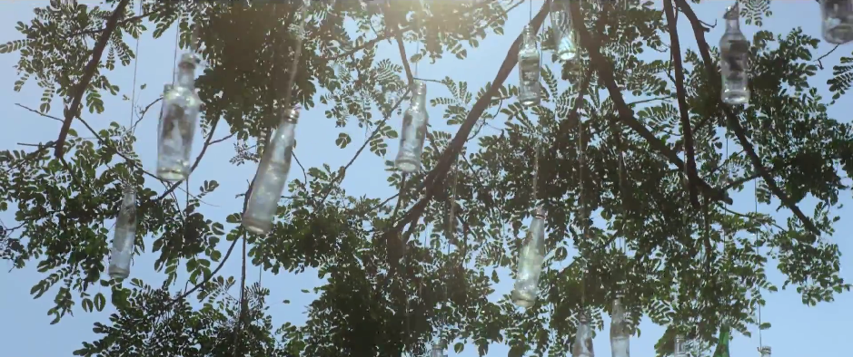 Trong clip Uống chai sành trồng cây xanh (add link http://tv.zing.vn/video/Clip-Thu-Vi-Uong-Chai-Sanh-Trong-Cay-Xanh/IWZAE0OB.html )được giới trẻ yêu thích gần đây, những chai thủy tinh được treo trên khắp các ngọn cây, đung đưa trong nắng và gió, tạo nên khung cảnh đẹp và lạ.