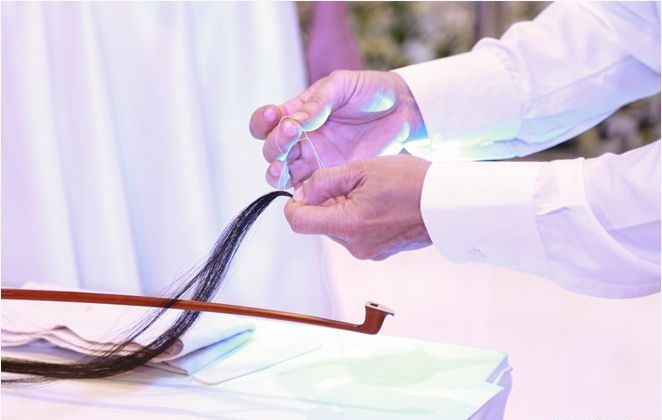 200 sợi tóc thật có thể thay thế lông đuôi ngựa làm thành dây vĩ cho đàn violin.