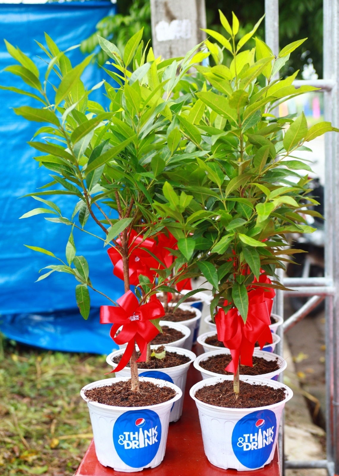 Hàng trăm cây xanh mang tên game thủ đã được trồng tại khắp 3 miền Bắc – Trung – Nam.