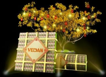 Le hoi vui dip Tet Nguyen dan hinh anh