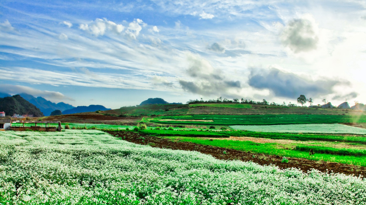 Không bao giờ là quá muộn cho những chuyến đi.