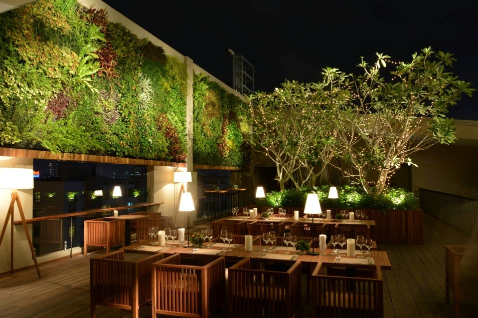 Khu vực ngoài vườn xanh mát dưới bầu trời sao.