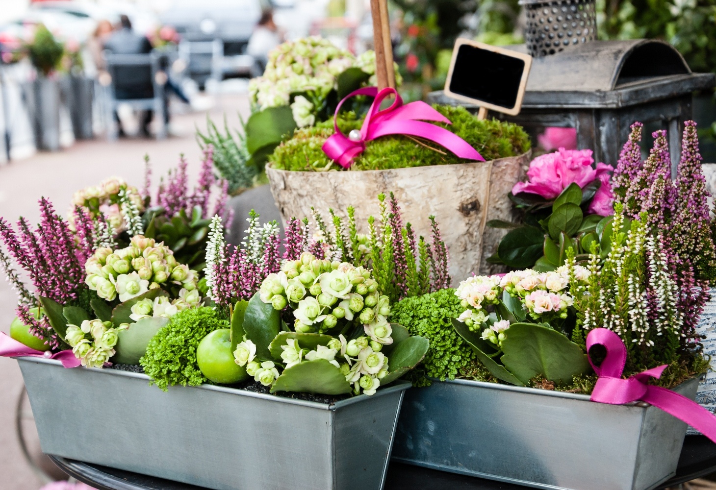 Cây xanh ngày Tết không chỉ giúp bạn tiết kiệm chi phí quà tặng mà còn là món quà ý nghĩa chân thành.