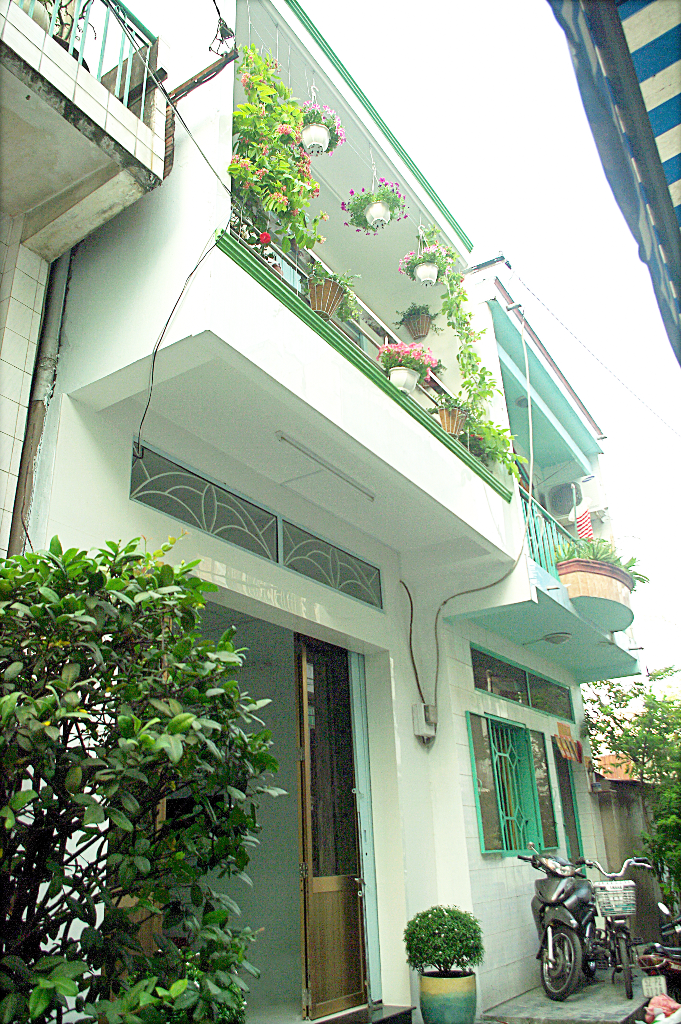 Nhà anh Ngô Vũ Cường nổi bật với độ phủ xanh