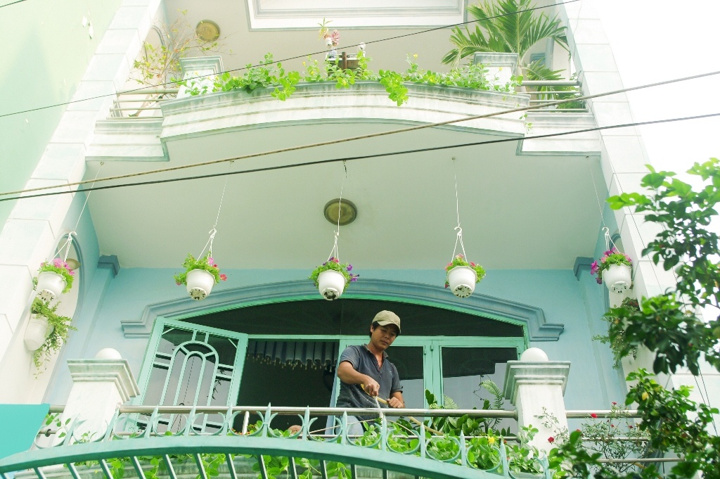 Mảng xanh tại nhà chị Trần Thị Mỹ Phương