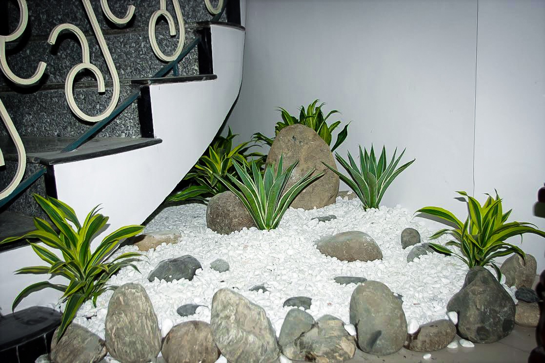 Một góc xanh tại nhà anh Nguyễn Quang Phương