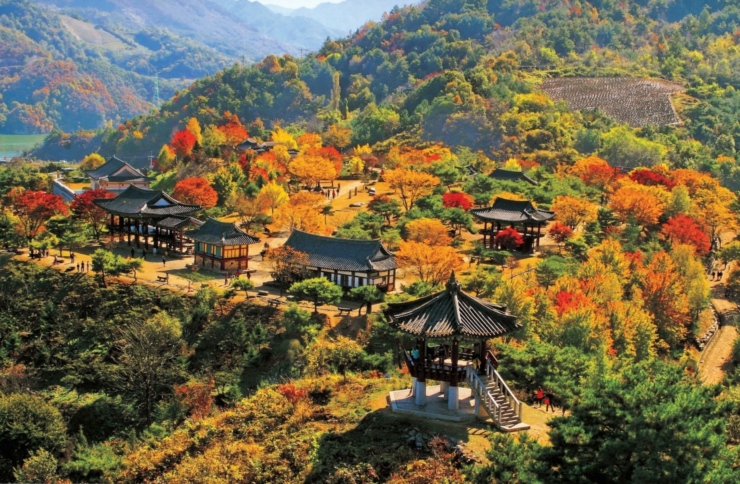 Vietjet Air ban ve may bay gia 0 dong di Han Quoc hinh anh