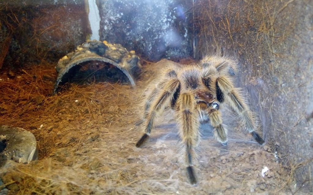 Ảnh chụp tại Thủy Cung - Times City Hà Nội bằng Racer HERO.