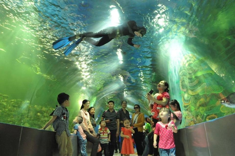 Thiên đường Bảo Sơn đã xây dựng đưa vào hoạt động đường hầm mái vòm nằm trong thủy cung. Bạn sẽ có cảm giác như đang lạc vào lòng đại dương xanh thẳm, để khám phá bao điều kỳ diệu với hàng ngàn loài sinh vật biển.