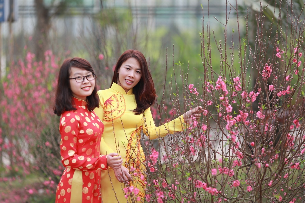 Rất đông các bạn trẻ đã tìm đến đây Thiên đường Bảo Sơn và hòa mình vào không gian đầy sắc hoa anh đào, lưu lại những hình ảnh đẹp trong những ngày xuân.