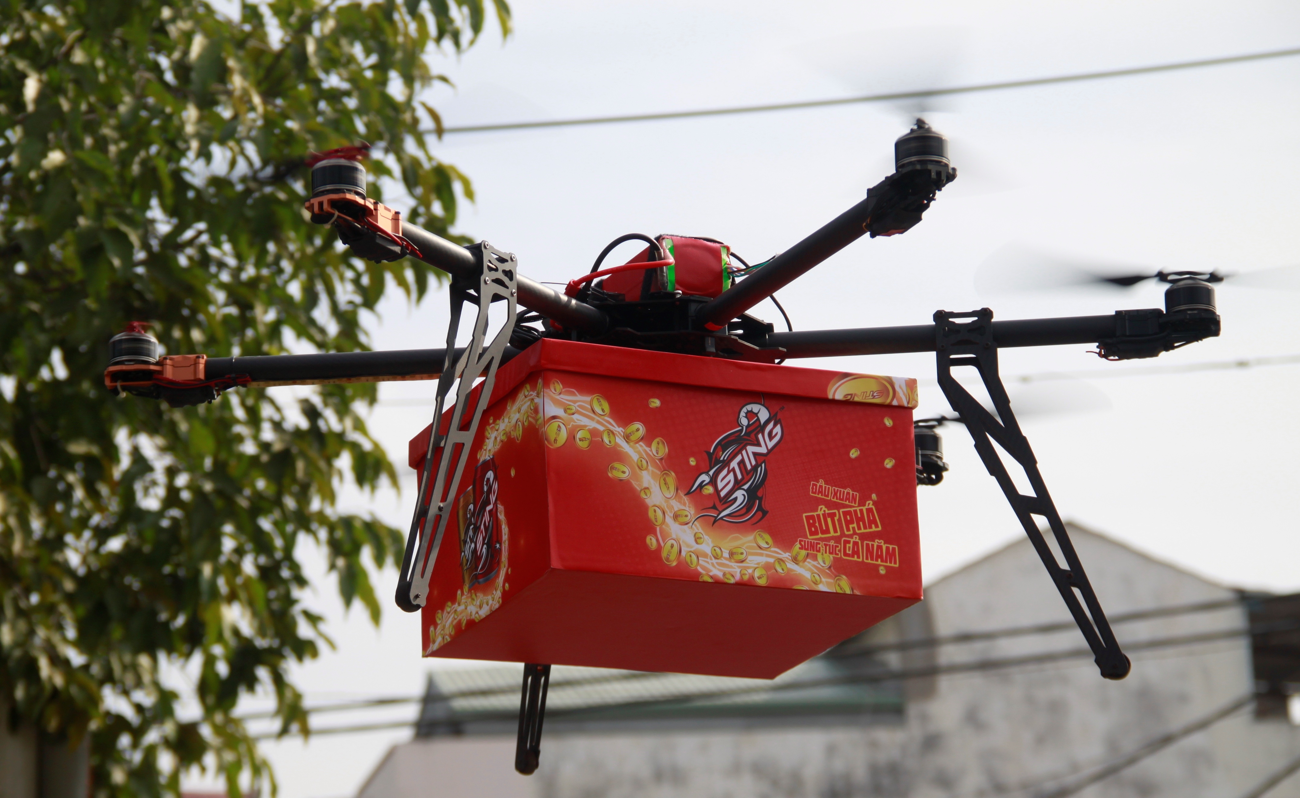 Gioi tre hao huc voi loc xuan tu may bay khong nguoi lai hinh anh