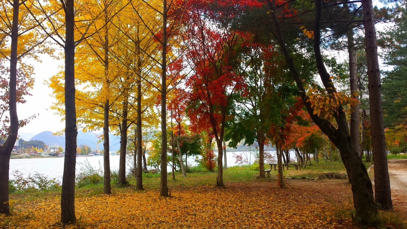 Vẻ lãng mạn của Seoul.