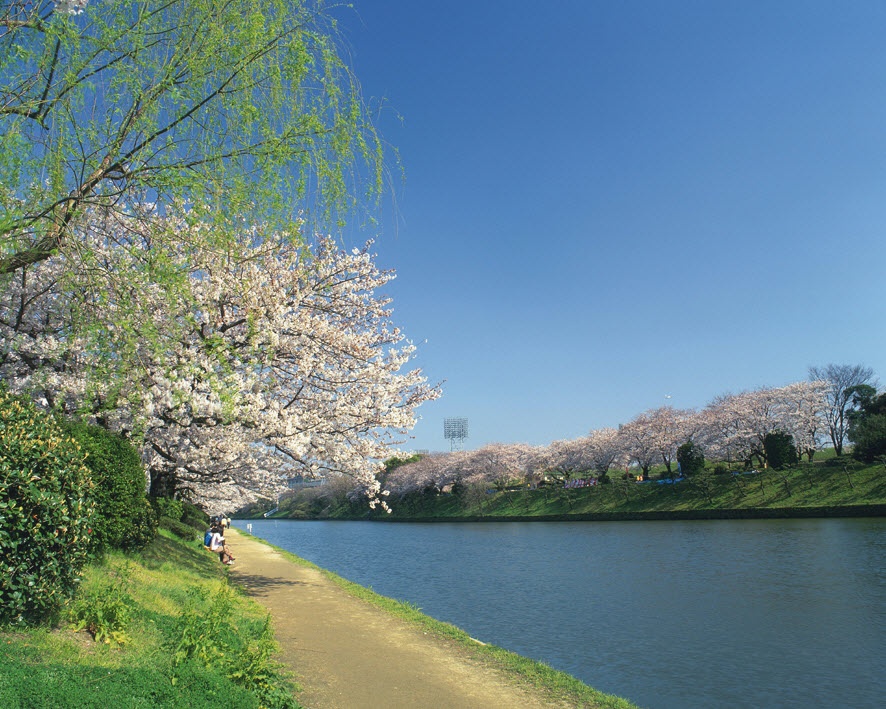 Hanh trinh 'Chao he' hap dan voi Vietnam Airlines hinh anh
