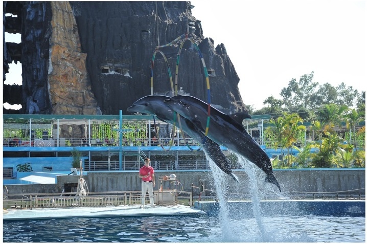 Thien duong Bao Son - diem den hap dan cho dip nghi le 30/4 hinh anh