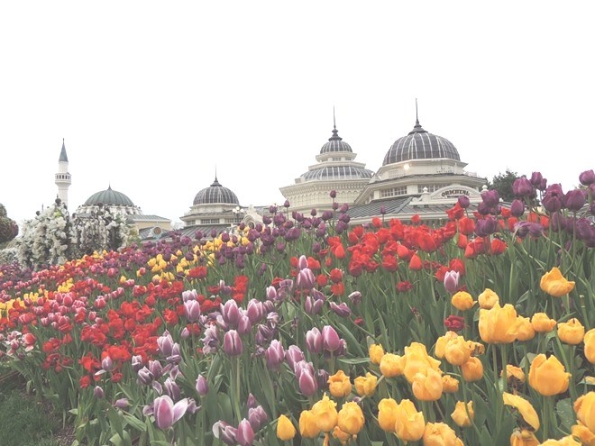 Nantashow, công viên Everland, chợ Dongdeamun… là những điểm dừng chân tiếp theo trước khi Minh Chính đến với đảo Nami - nơi anh chụp nhiều ảnh nhất.