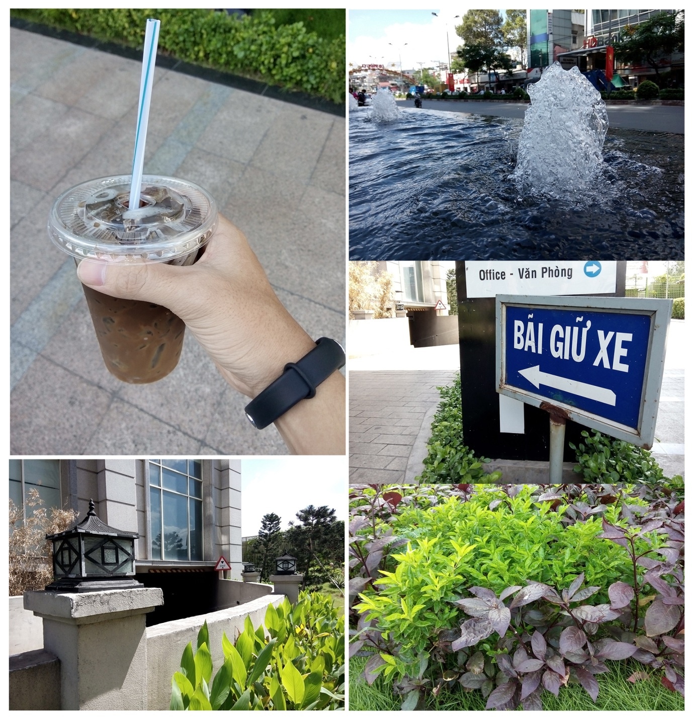 Neo 5 cho tốc độ bắt nét nhanh và cho ảnh nét.