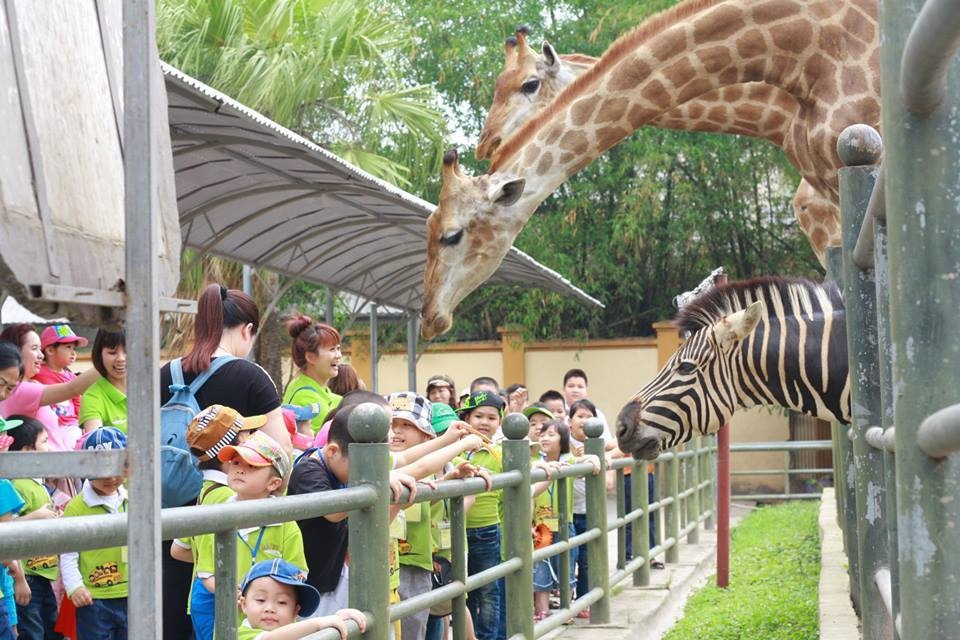 Thien Duong Bao Son: Diem choi he ly tuong cho tre hinh anh